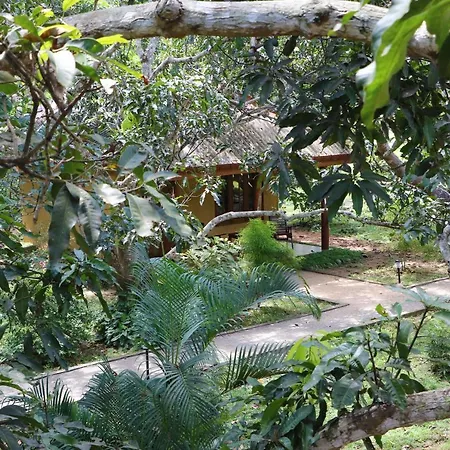 Bissa Villa Habarana Exterior photo