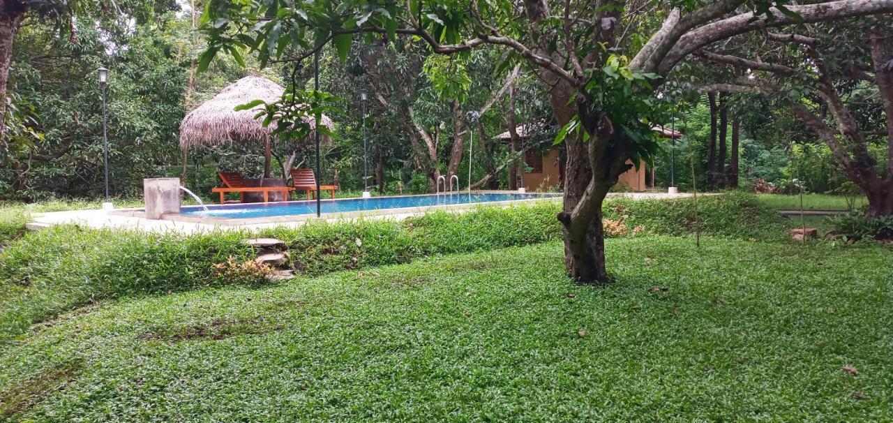 Bissa Lodge *