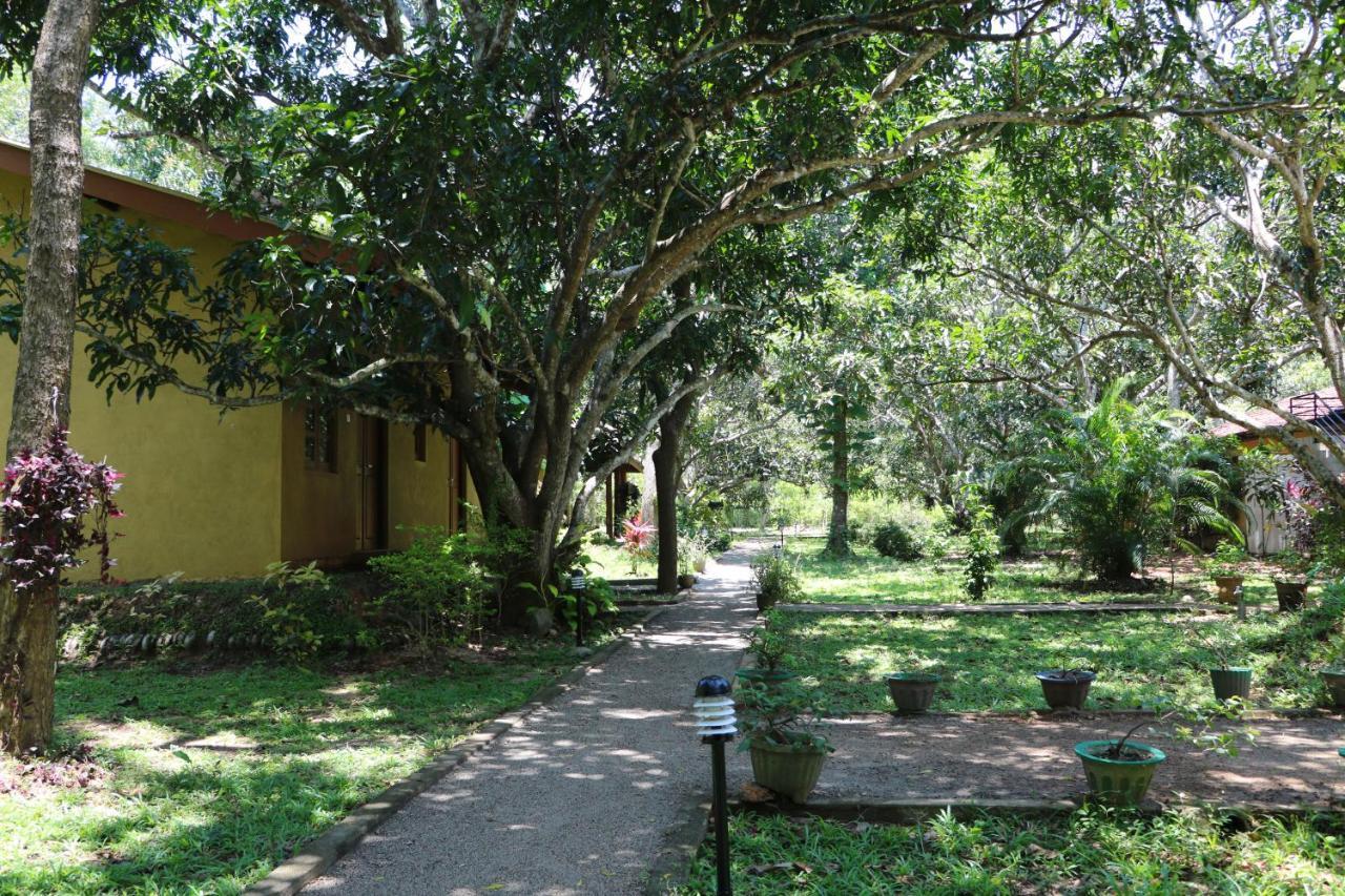 Lodge Bissa *