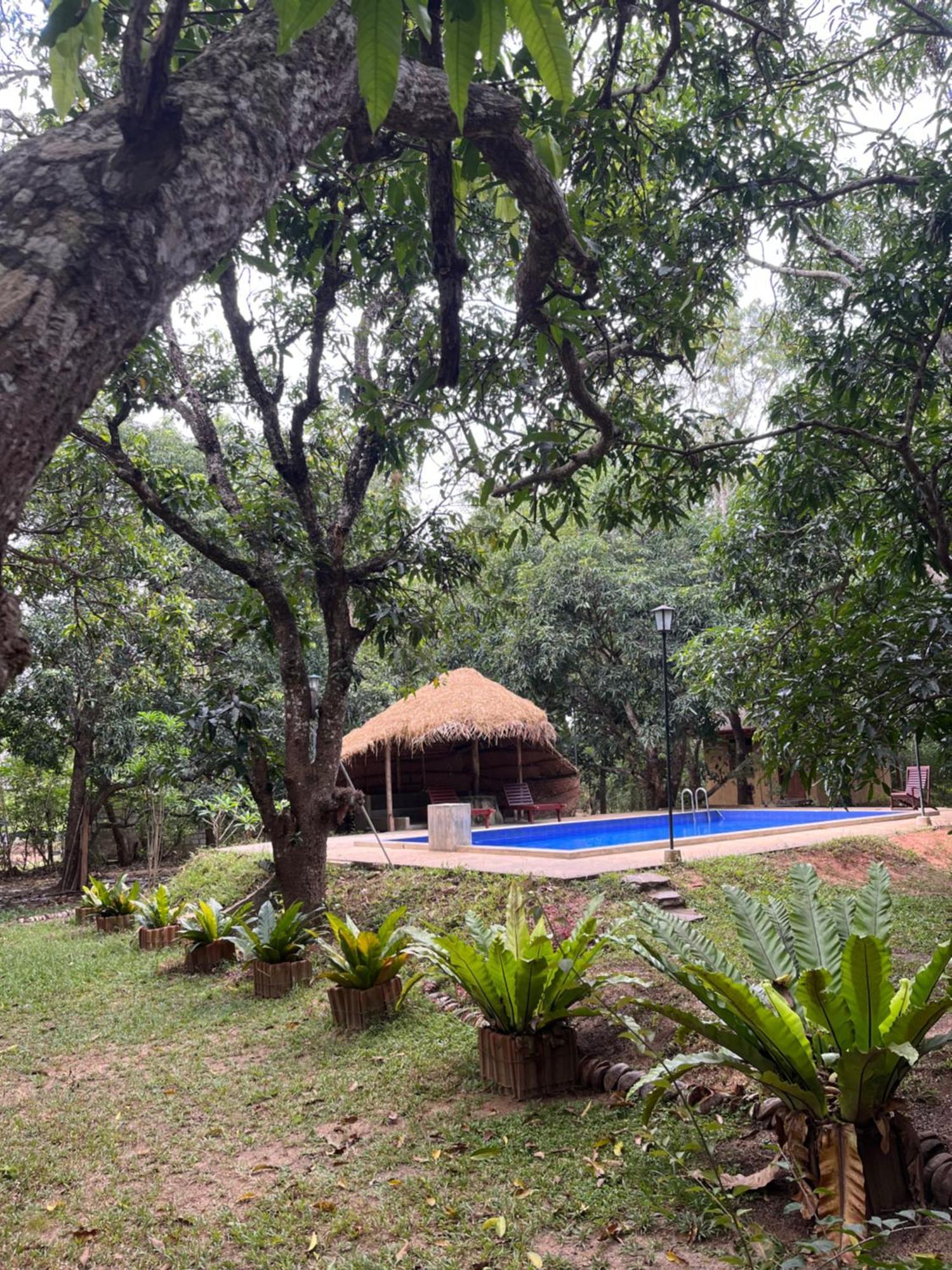 Bissa Lodge *