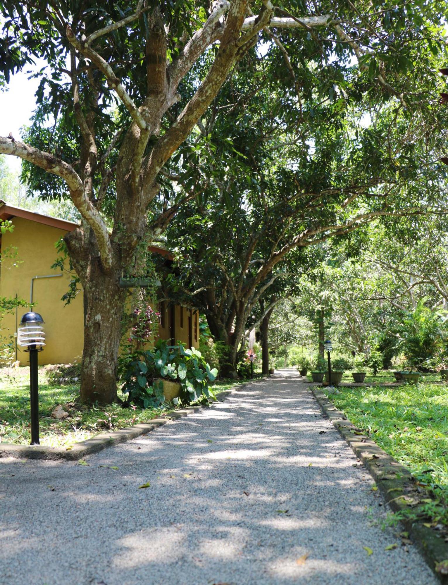 Lodge Bissa Habarana